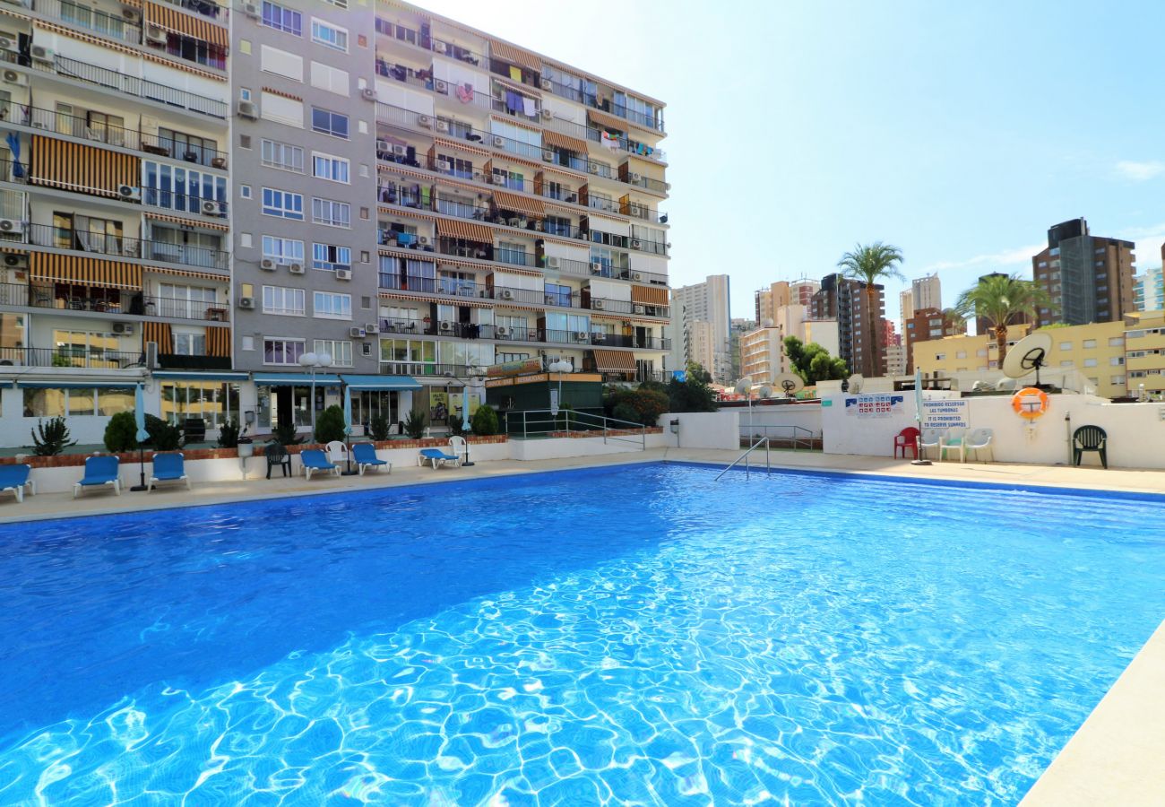 Apartamento en Benidorm - VERSALLES POOL LEVANTE R161