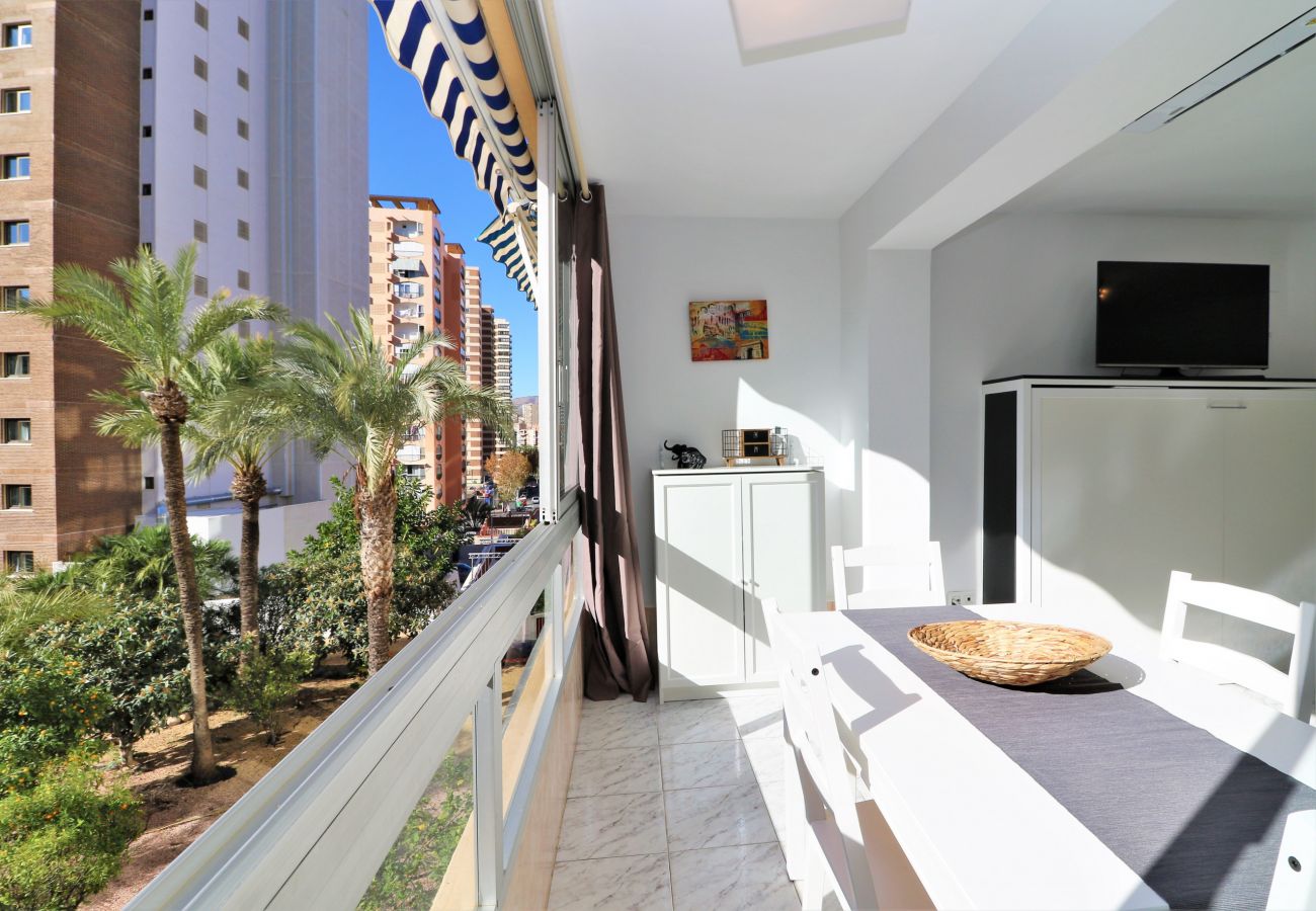 Apartamento en Benidorm - VERSALLES POOL LEVANTE R161