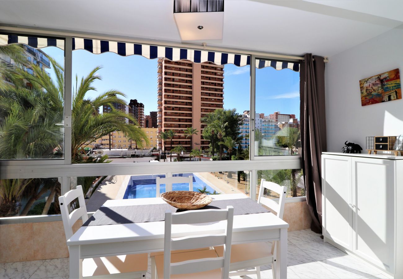 Apartamento en Benidorm - VERSALLES POOL LEVANTE R161