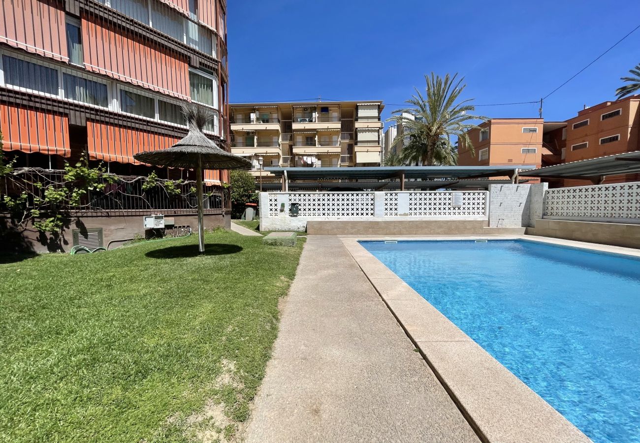 Apartamento en Benidorm - Poniente Beach Modern Apartment (R164)