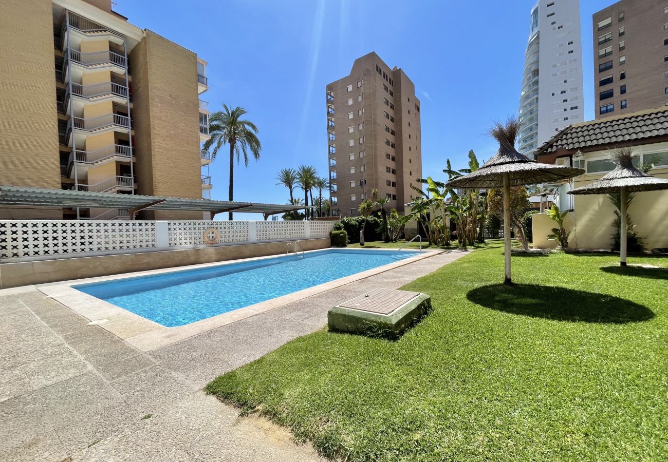 Apartamento en Benidorm - Poniente Beach Modern Apartment (R164)