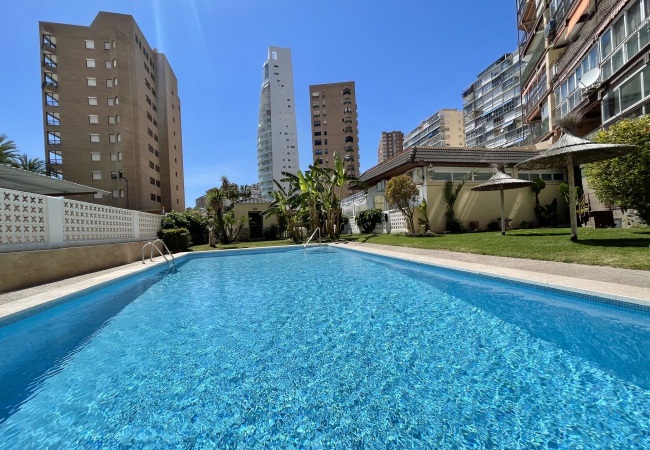 Apartamento en Benidorm - Poniente Beach Modern Apartment (R164)