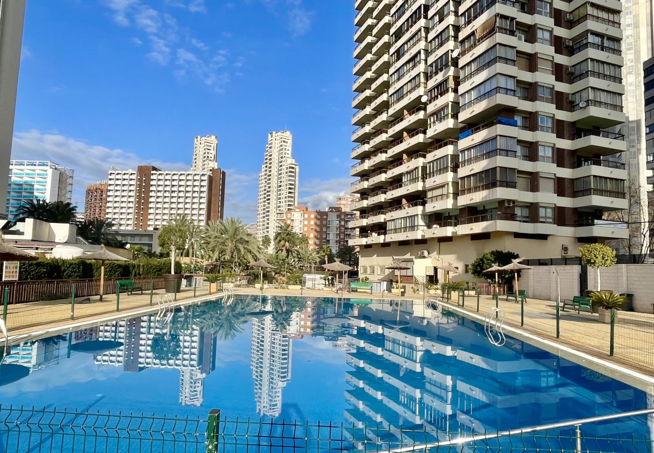 Estudio en Benidorm - COZY & MODERN STUDIO R173