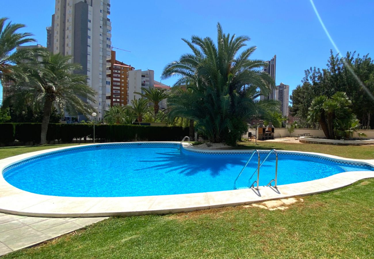 Apartamento en Benidorm - MIRANDA 3 PONIENTE BEACH R175