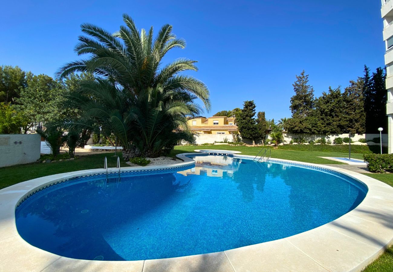 Apartamento en Benidorm - MIRANDA 3 PONIENTE BEACH R175