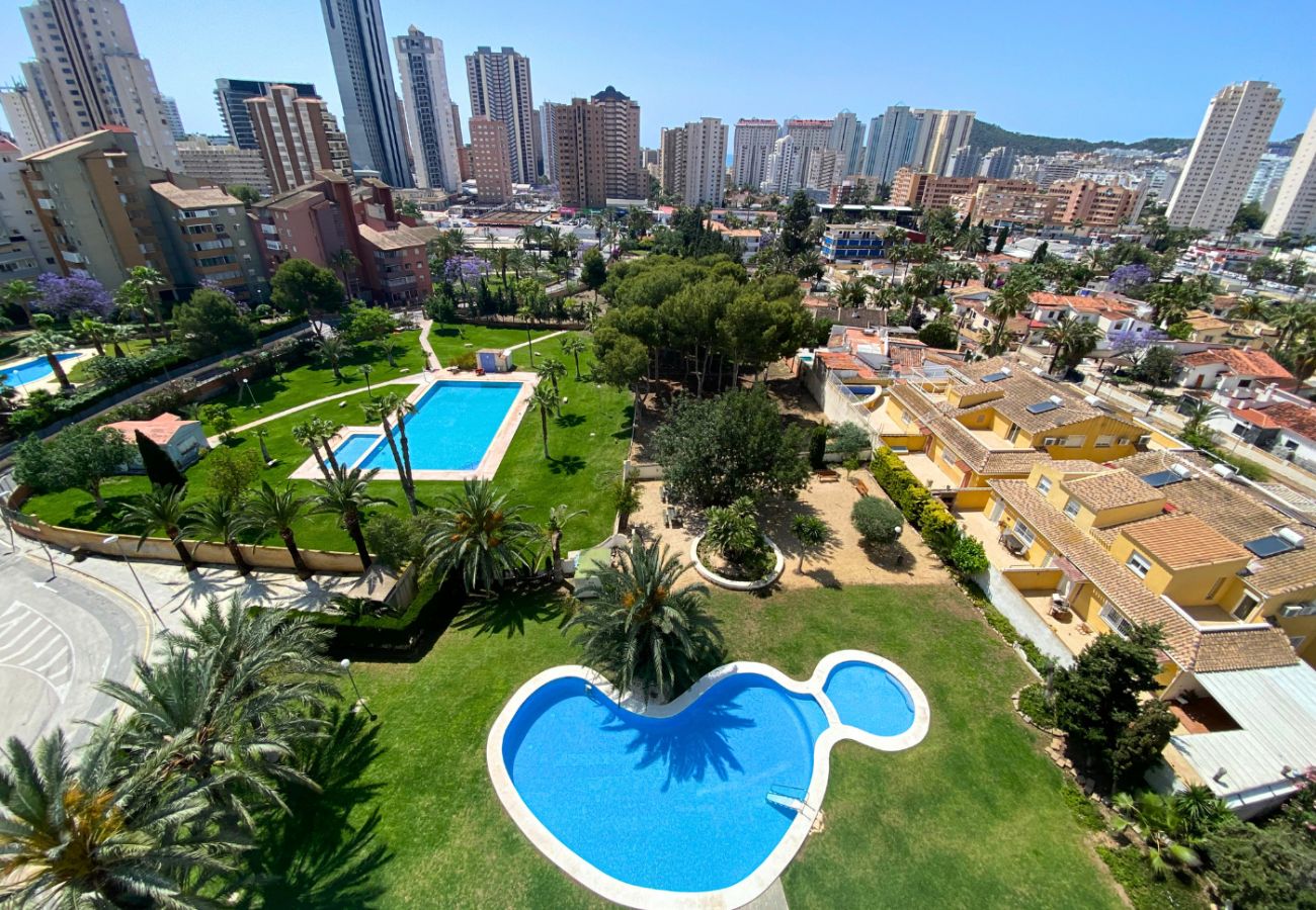 Apartamento en Benidorm - MIRANDA 3 PONIENTE BEACH R175