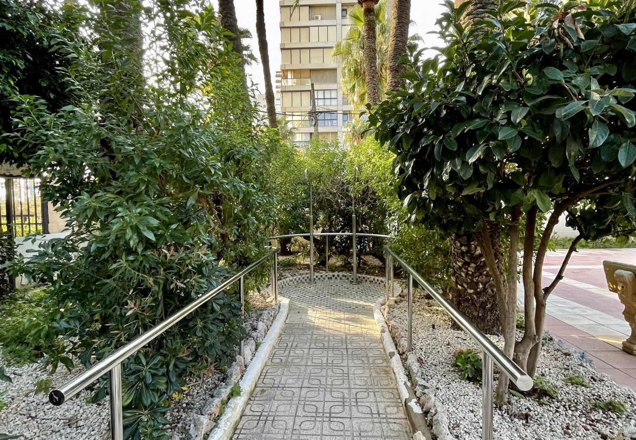 Apartamento en Benidorm - TORRE YAGO SEAFRONT LEVANTE N028