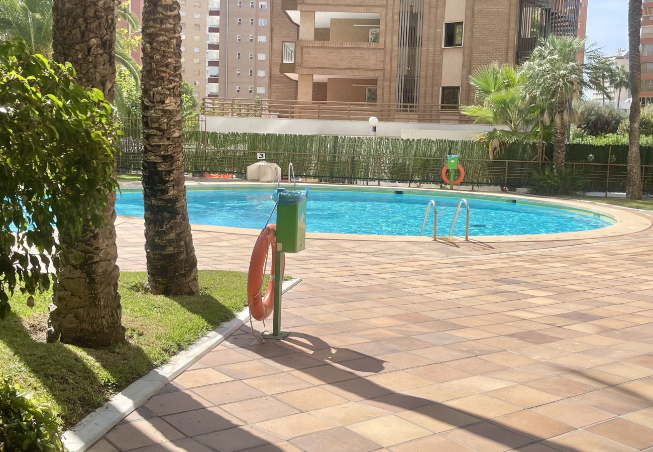 Estudio en Benidorm - PARAISO LEVANTE BEACH STUDIO N105 