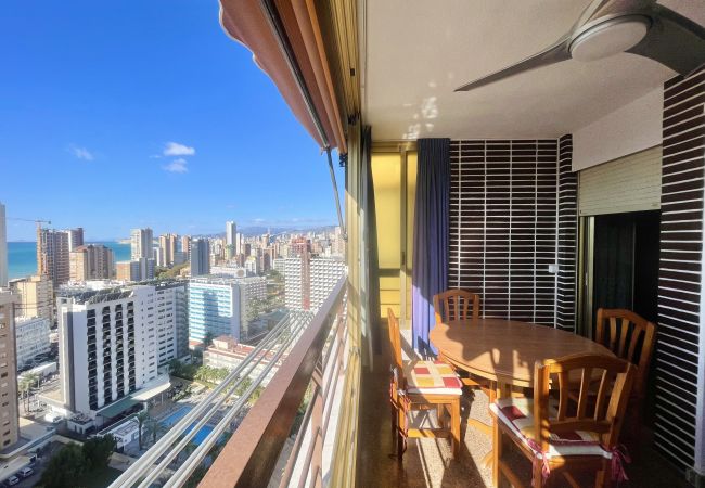 Apartamento en Benidorm - ACUARIUM LEVANTE BEACH N075