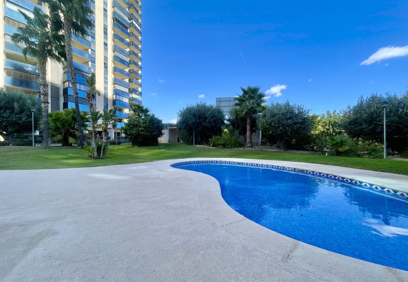 Apartamento en Benidorm - KRONOS VIEW BENIDORM N110