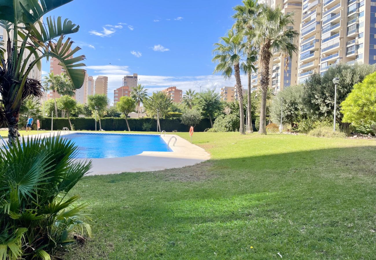 Apartamento en Benidorm - KRONOS VIEW BENIDORM N110