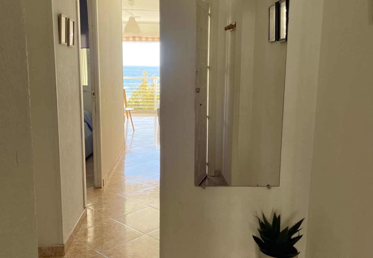 Apartamento en Benidorm - CABALLOS LEVANTE BEACH N069B