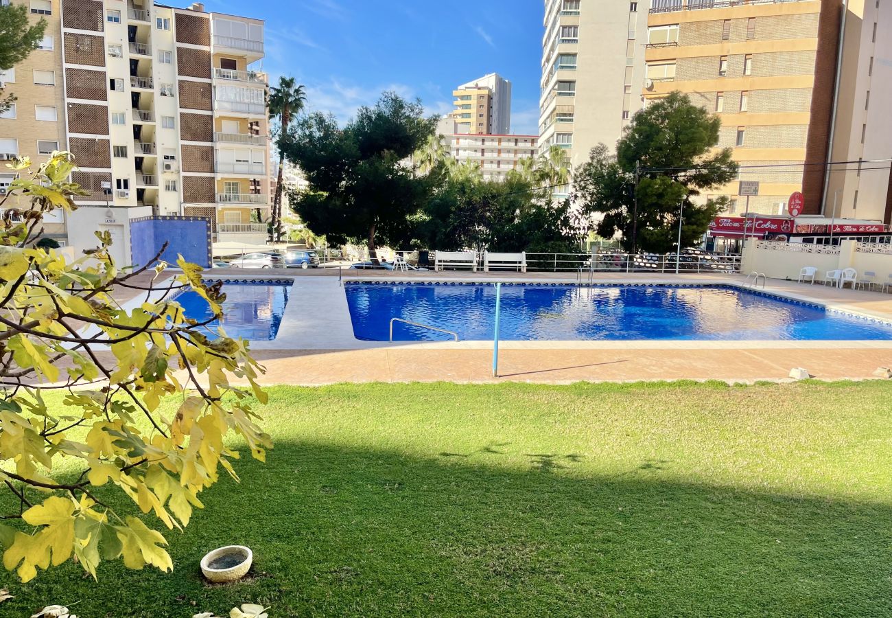 Apartamento en Benidorm - LOIXANA RINCON DREAM N122