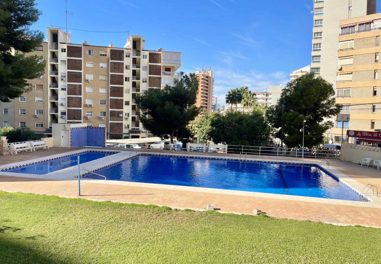 Apartamento en Benidorm - LOIXANA RINCON DREAM N122