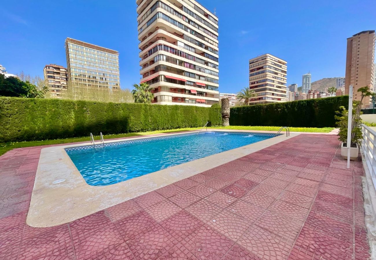 Apartamento en Benidorm - CAROLINA SEAFRONT LEVANTE N157