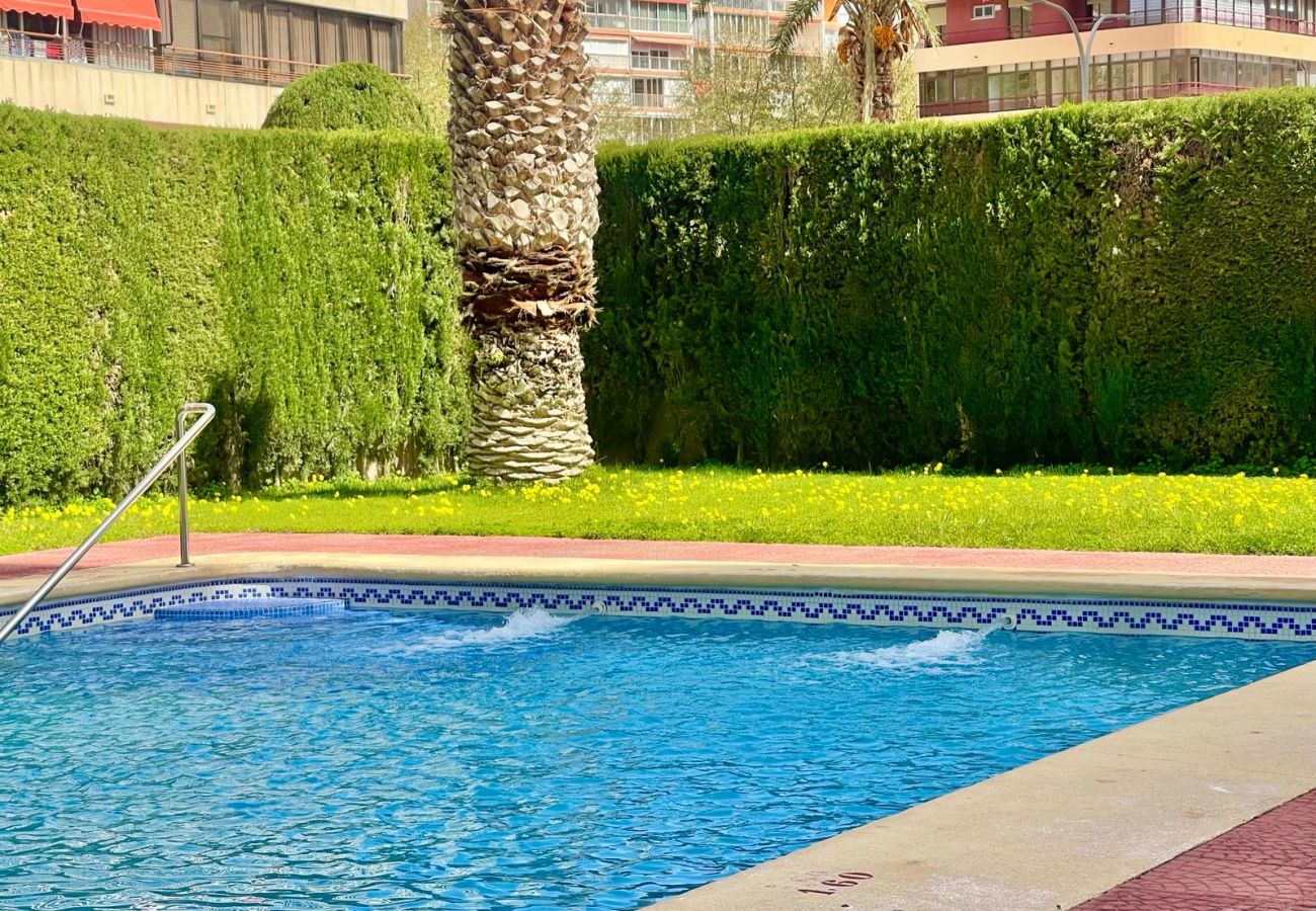 Apartamento en Benidorm - CAROLINA SEAFRONT LEVANTE N157