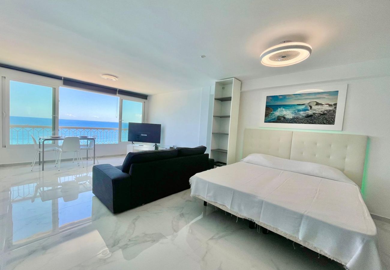 Estudio en Benidorm - TORRE PRINCIPADO SEAFRONT STUDIO (N108)