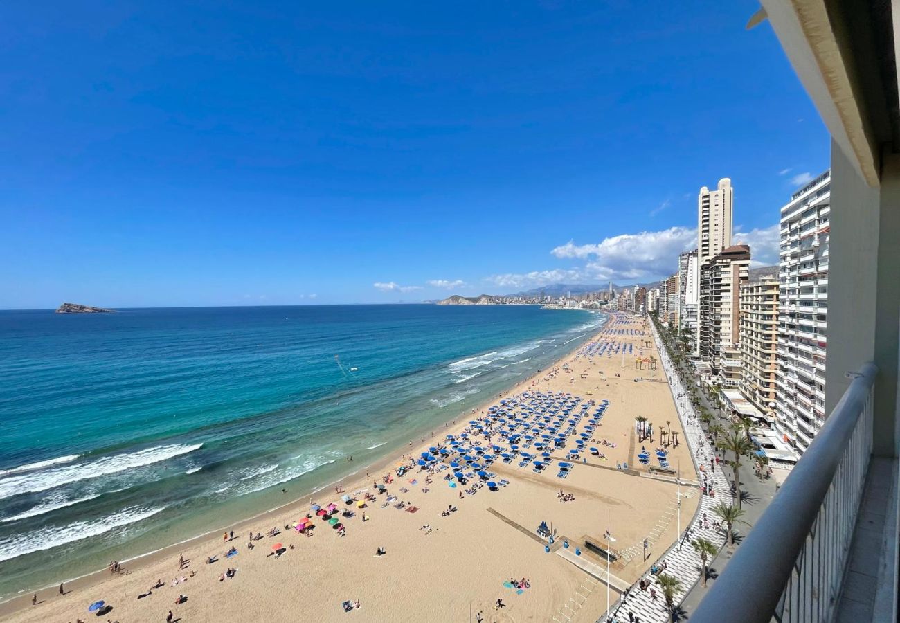 Estudio en Benidorm - TORRE PRINCIPADO SEAFRONT STUDIO (N108)