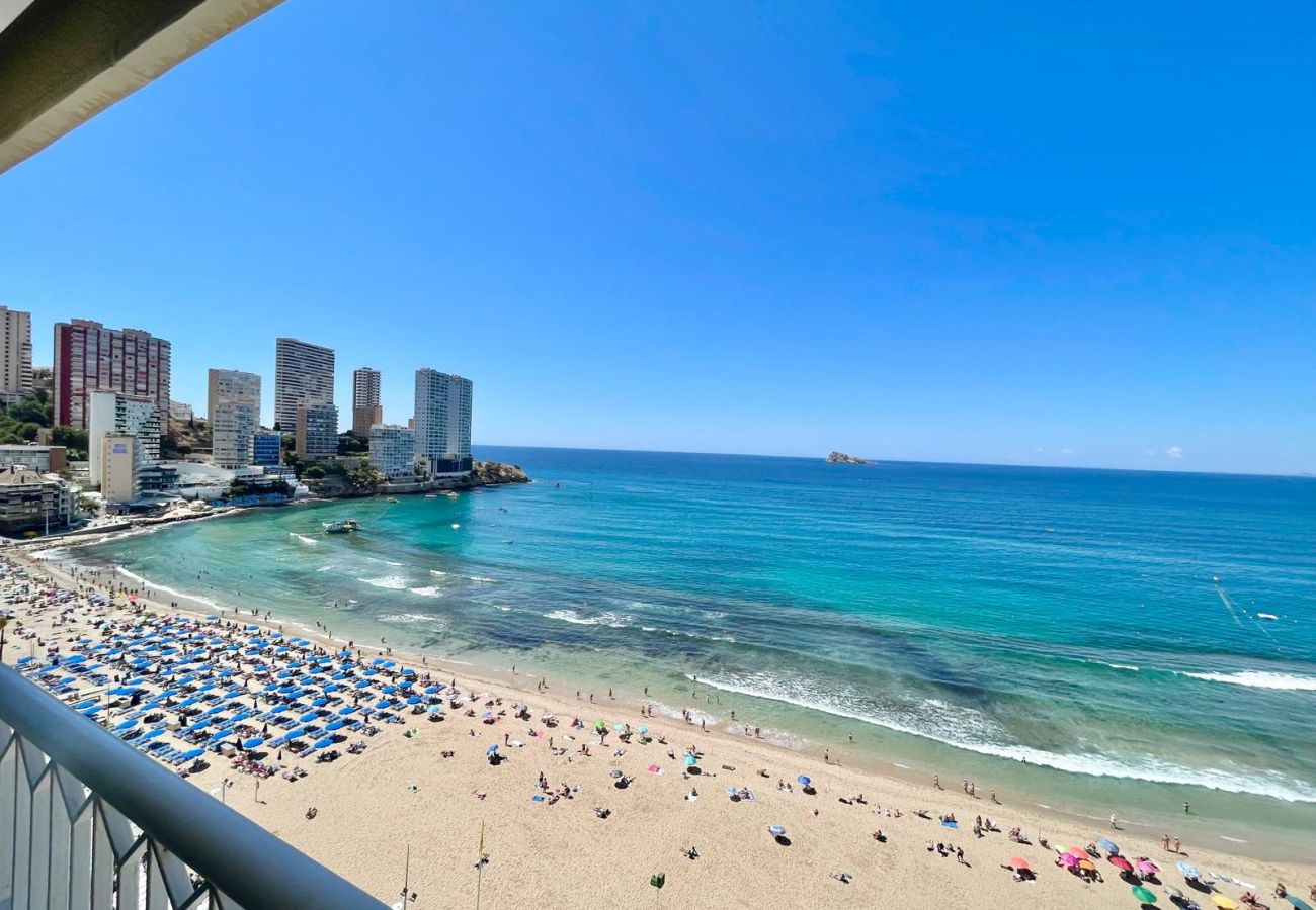 Estudio en Benidorm - TORRE PRINCIPADO SEAFRONT STUDIO (N108)