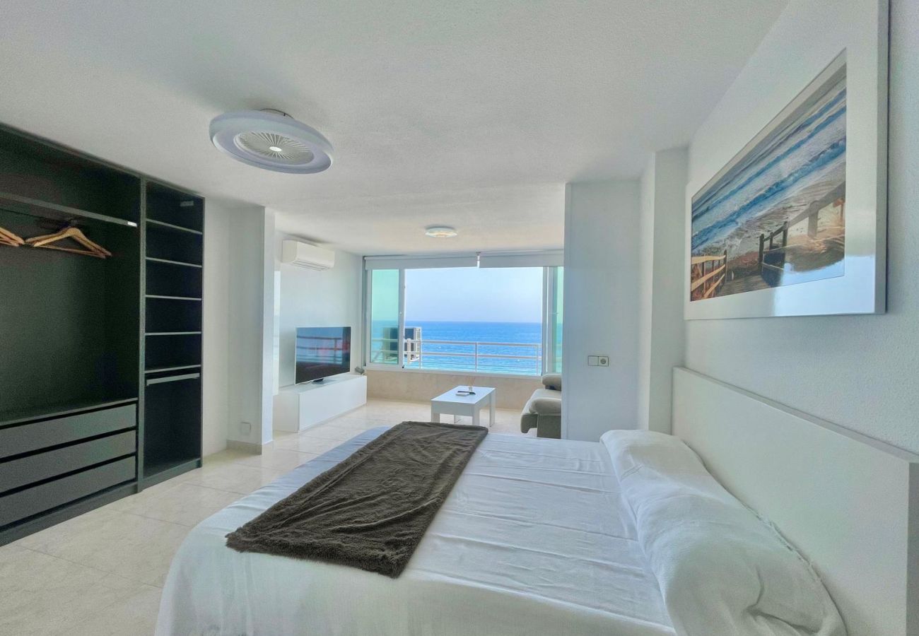Estudio en Benidorm - TORRE COBLANCA SEAFRONT STUDIO (A158)