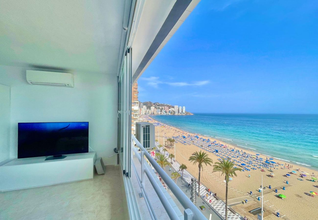 Estudio en Benidorm - TORRE COBLANCA SEAFRONT STUDIO (A158)