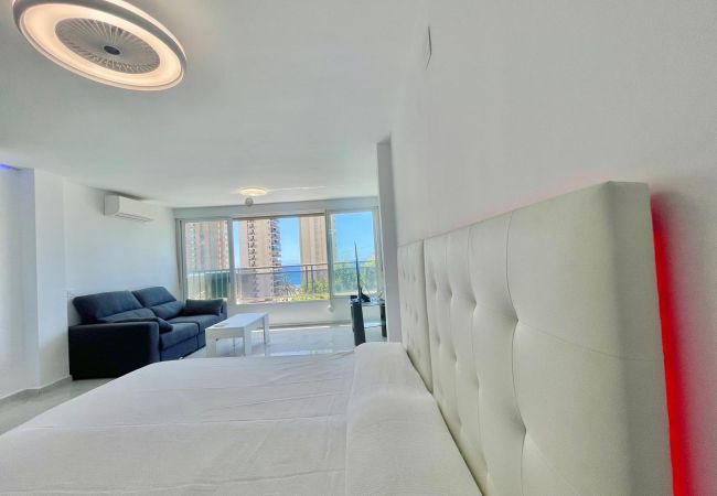 Estudio en Benidorm - MAGNIFICENT MEDITERRANEO STUDIO (N113)