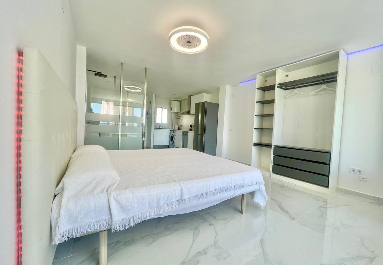 Estudio en Benidorm - MAGNIFICENT MEDITERRANEO STUDIO (N113)
