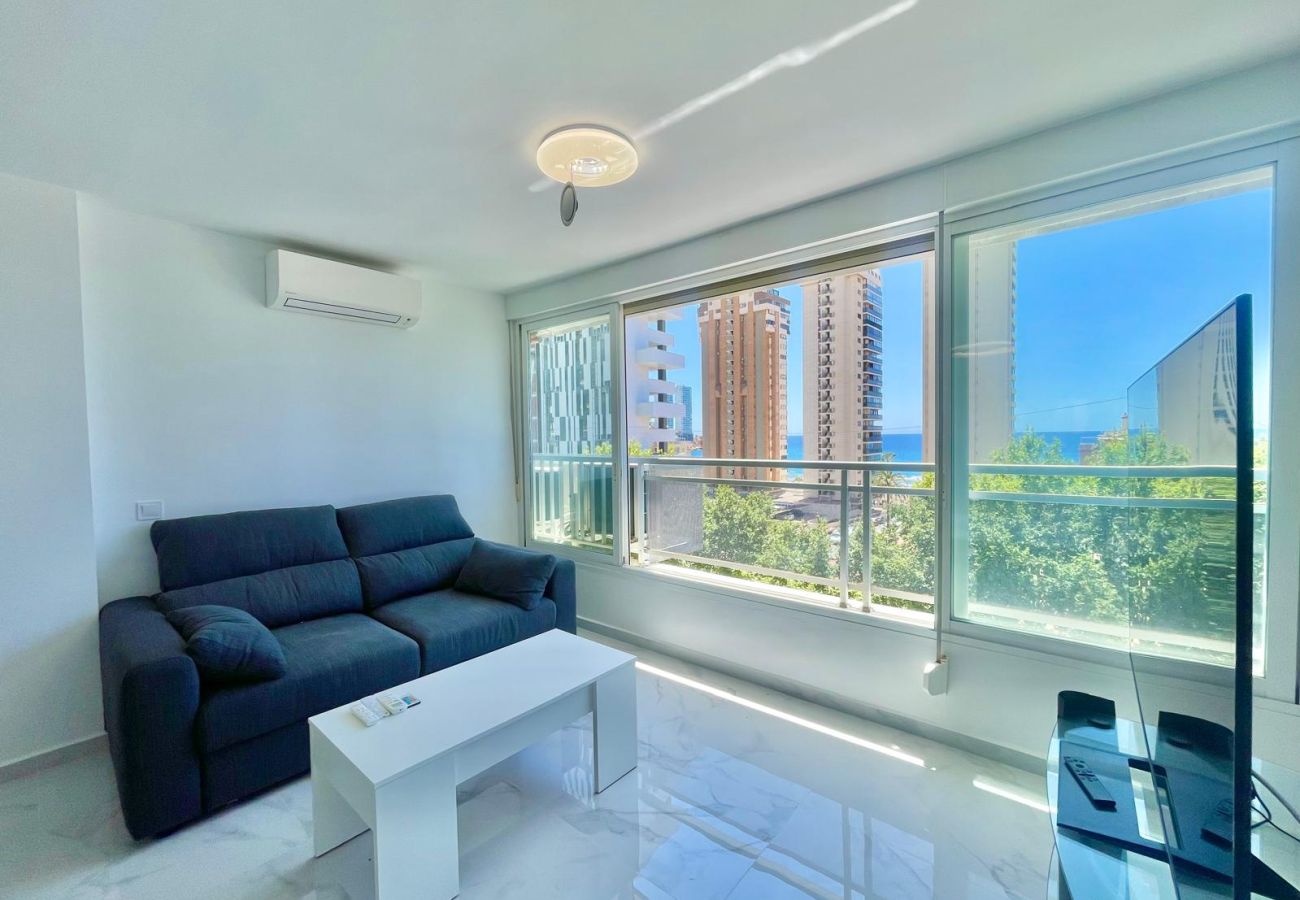 Estudio en Benidorm - MAGNIFICENT MEDITERRANEO STUDIO (N113)
