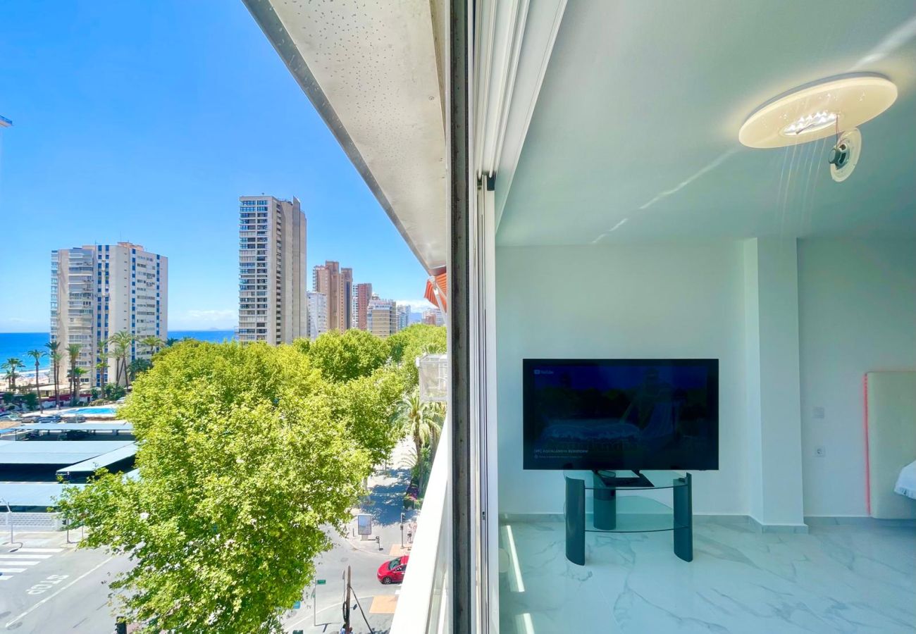 Estudio en Benidorm - MAGNIFICENT MEDITERRANEO STUDIO (N113)
