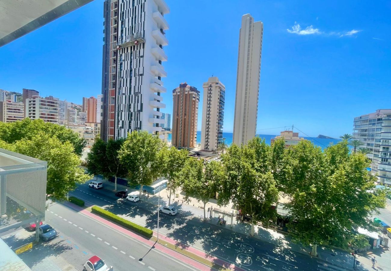 Estudio en Benidorm - MAGNIFICENT MEDITERRANEO STUDIO (N113)
