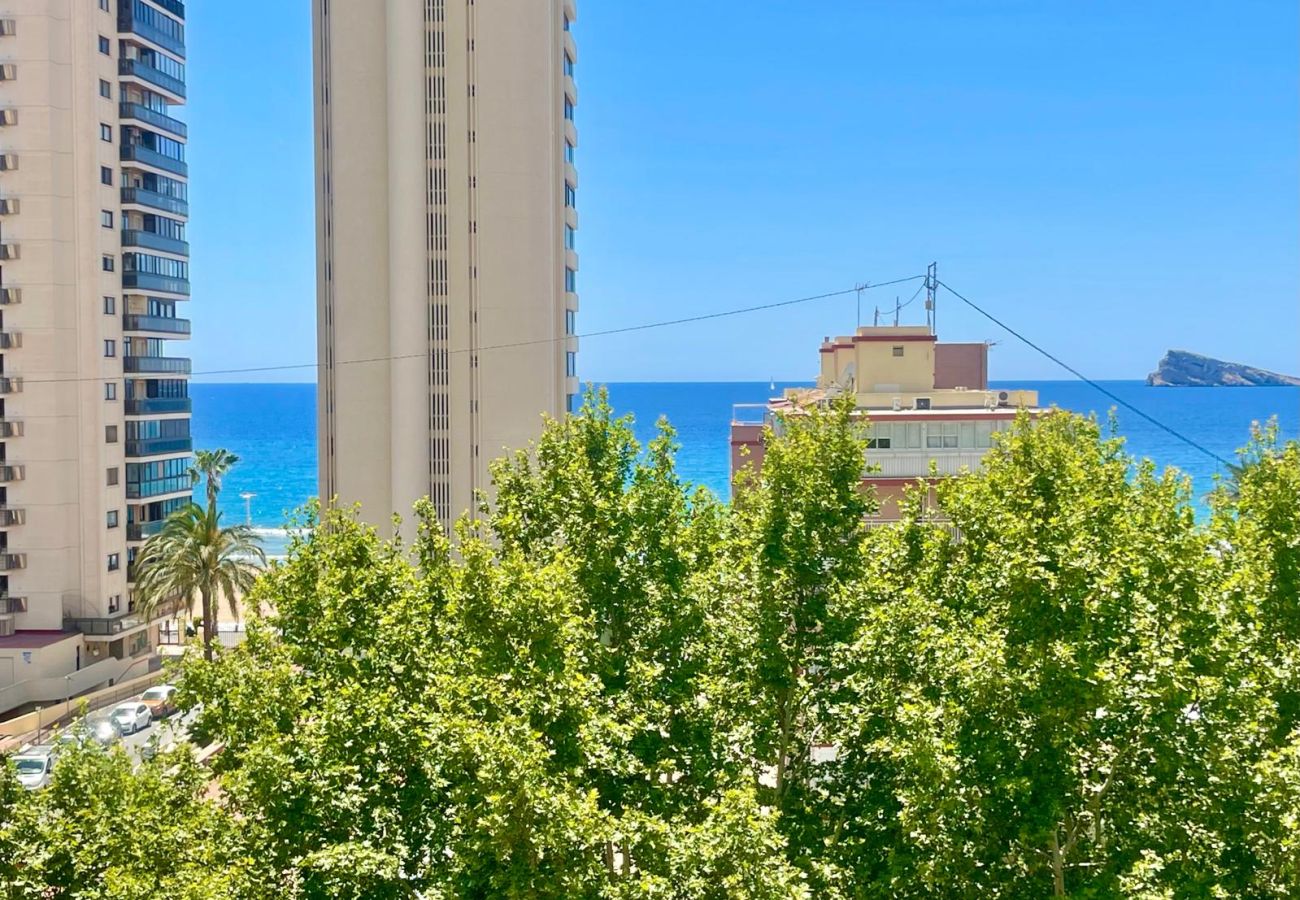 Estudio en Benidorm - MAGNIFICENT MEDITERRANEO STUDIO (N113)
