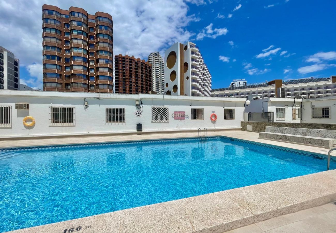 Estudio en Benidorm - MAGNIFICENT MEDITERRANEO STUDIO (N113)