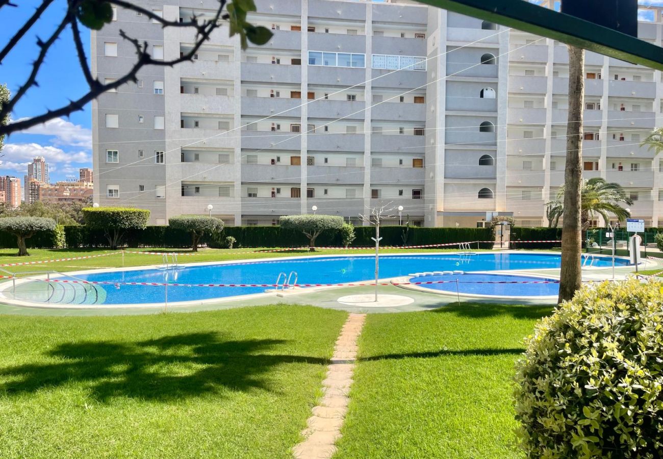 Apartamento en Benidorm - AQUAVIVA BEACH N041