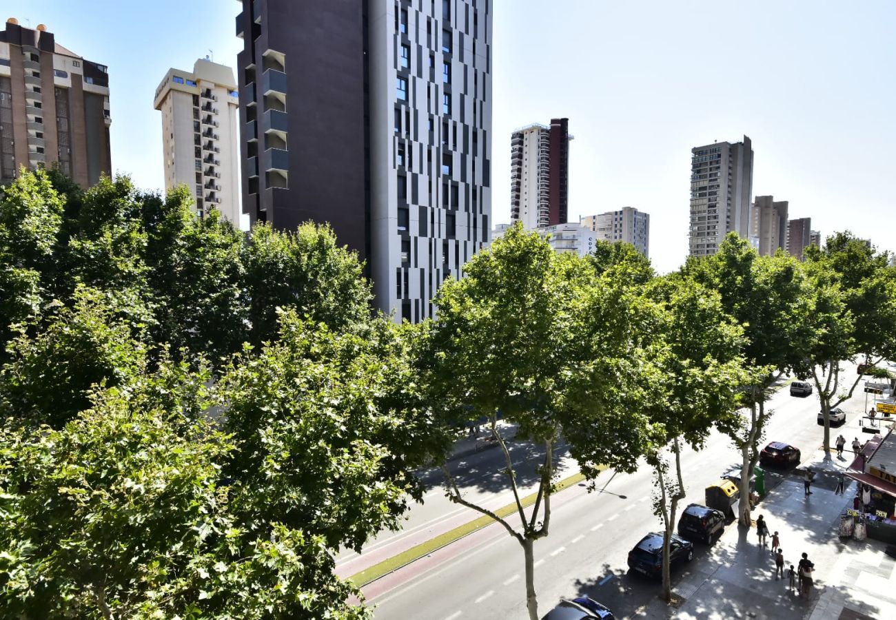 Apartamento en Benidorm - MODERN AND STYLISH APARTMENT BENIDORM BEACH (A023)