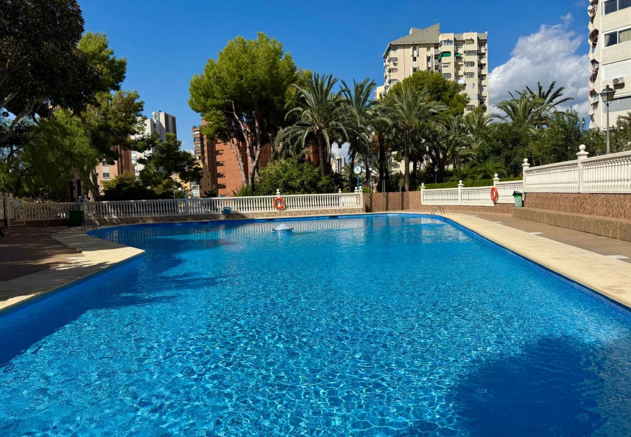 Apartamento en Benidorm - Loix Playmon Park Apartment N173