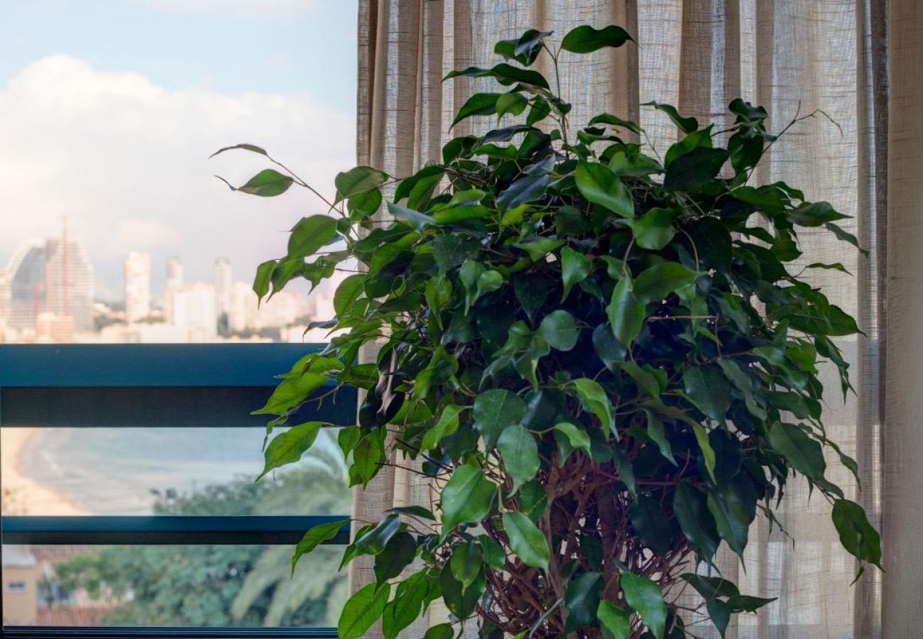 Apartamento en Benidorm - ENTREPLAYAS HOLIDAY APARTMENT (A062)