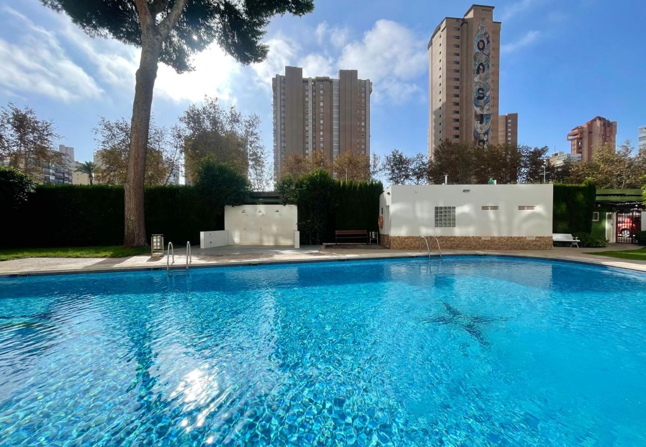 Apartamento en Benidorm - ALBATROS LOIX APARTMENT R188
