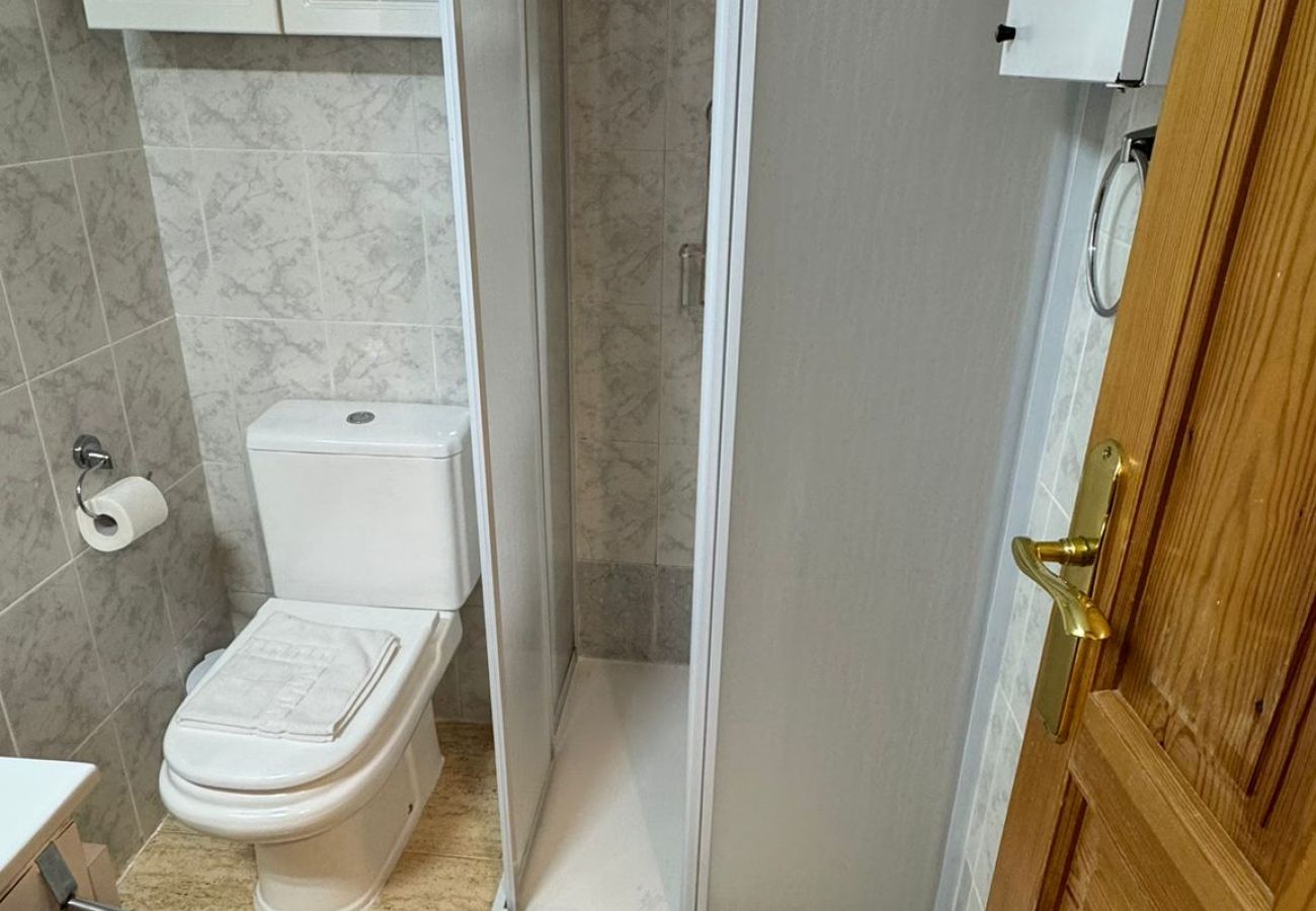 Apartamento en Benidorm - ALBATROS LOIX APARTMENT R179