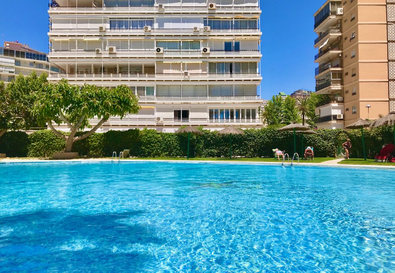 Estudio en Benidorm - TORRE COBLANCA STUDIO A158 A159