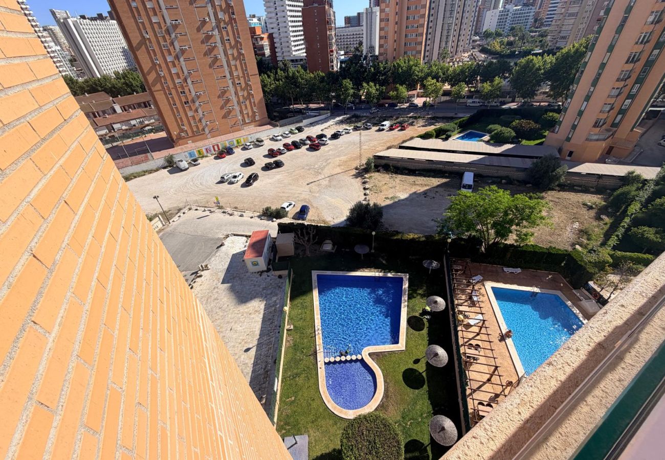 Apartamento en Benidorm - PLAYA AZUL LEVANTE BEACH R188