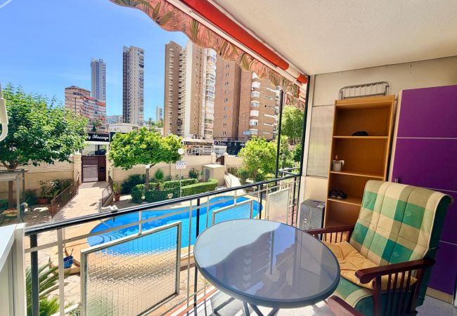 Apartamento en Benidorm - NEW TOWN LEVANTE BEACH APARTMENT (R192)