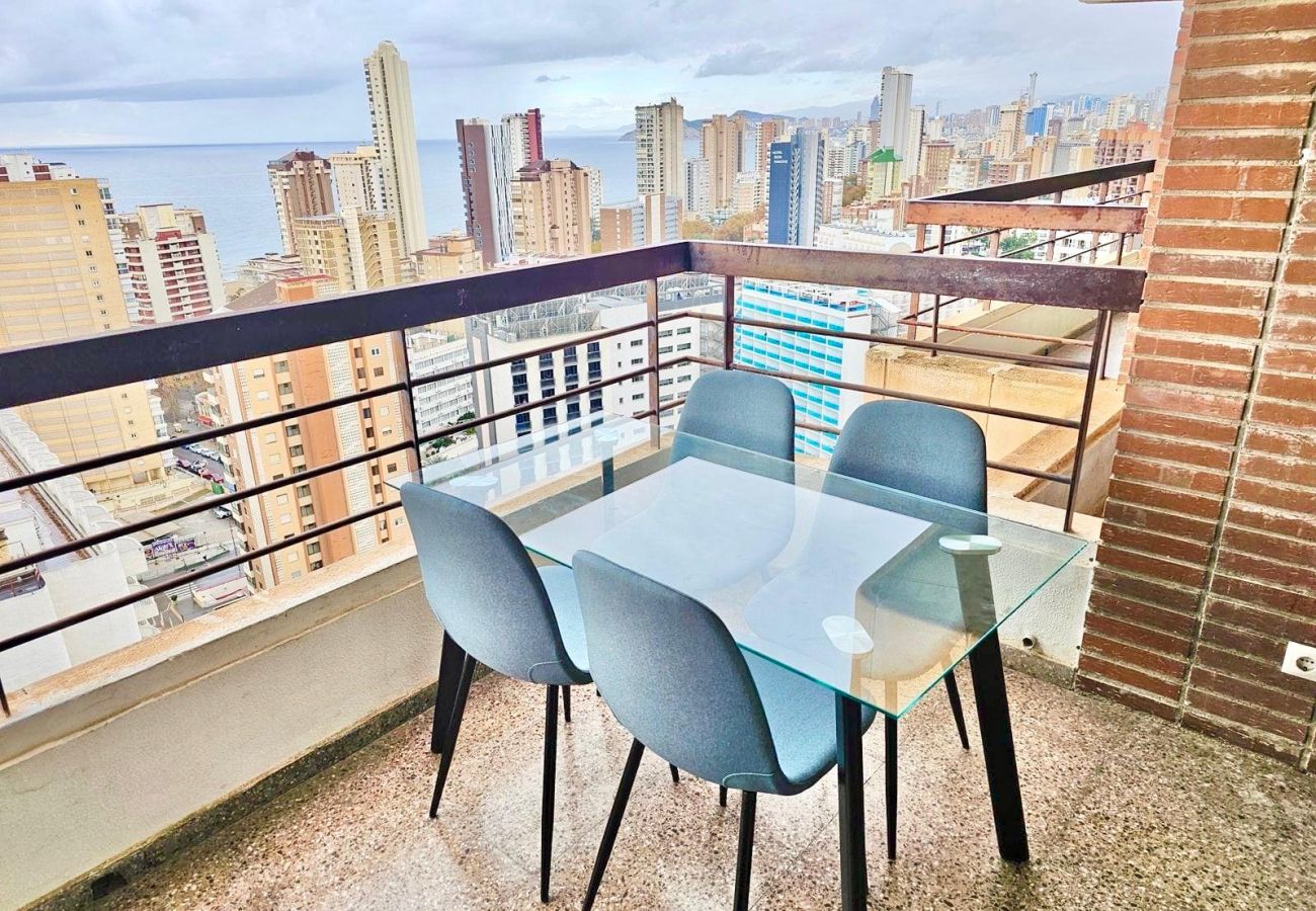 Estudio en Benidorm - CITY VIEWS ACUARIUM II