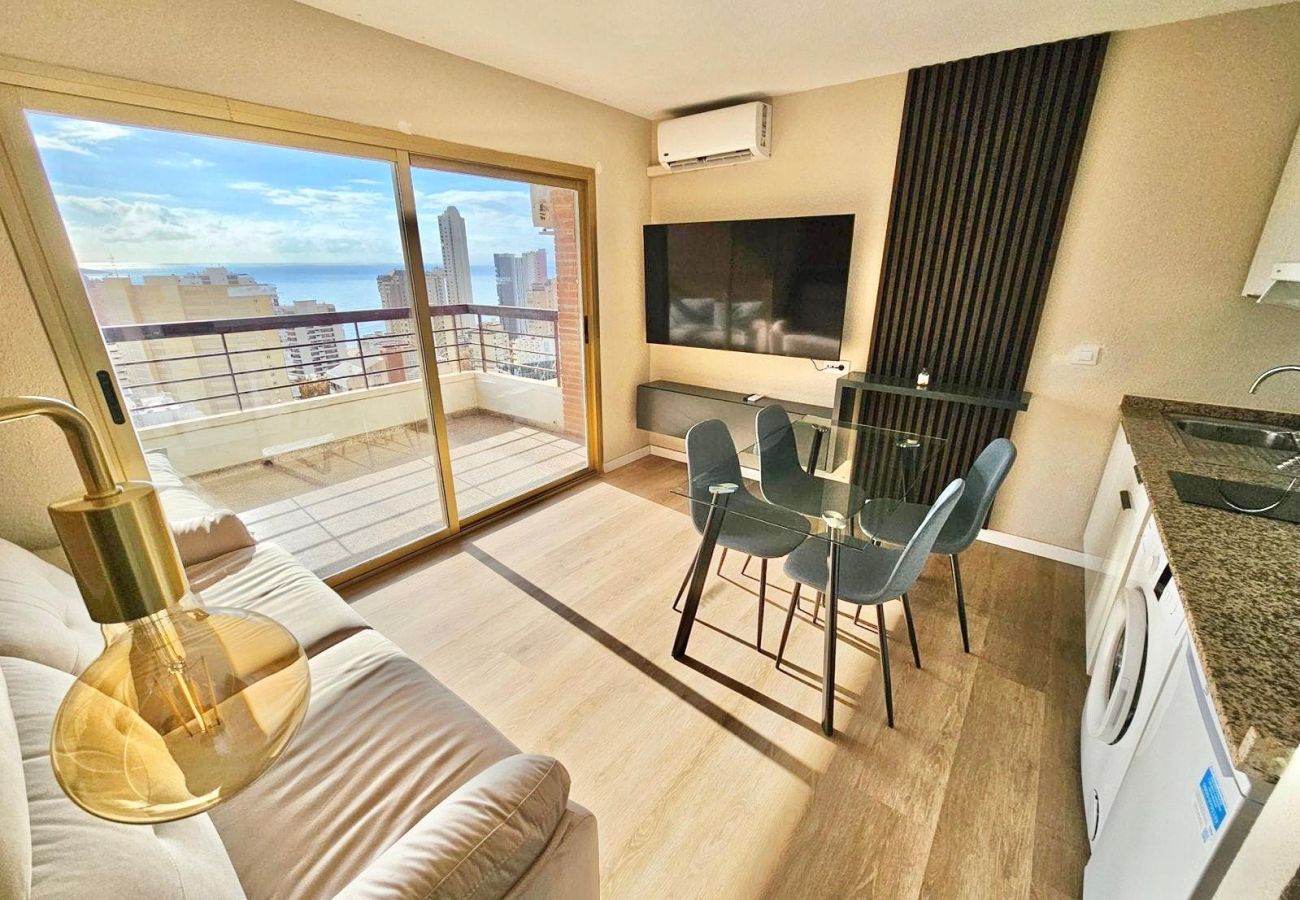 Estudio en Benidorm - CITY VIEWS ACUARIUM II