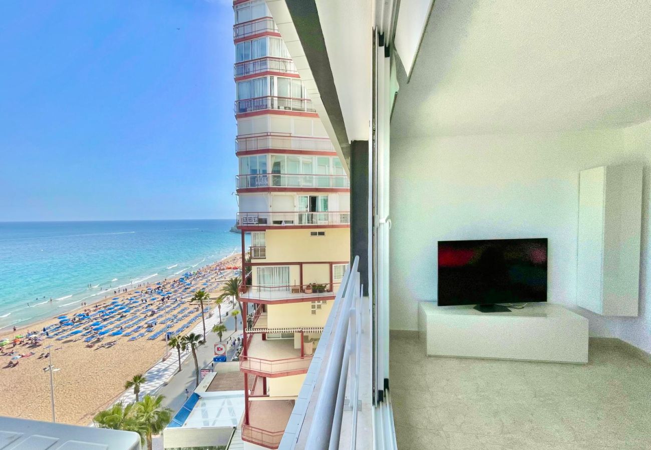 Apartamento en Benidorm - ESTUDIOS TORRE COBLANCA FRONTLINE LEVANTE (A021)