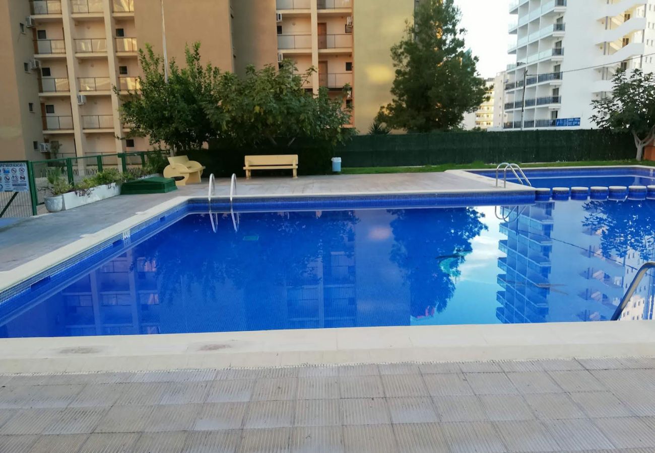 Apartment in Benidorm - R453 ACACIAS STUDIO