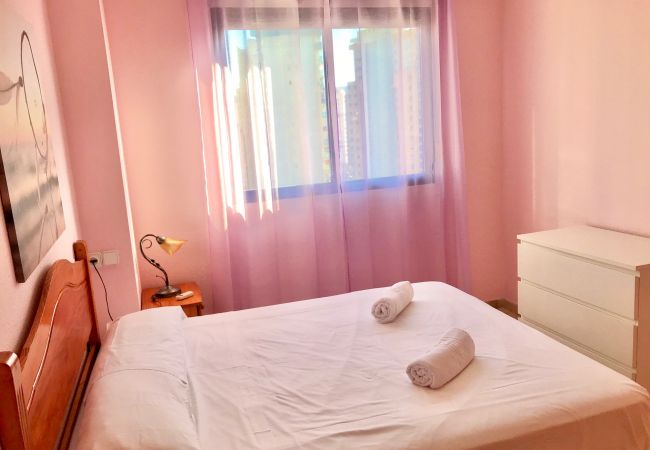 Apartment in Benidorm - R461 BENIDORM CENTER KENNEDY APARTMENT Apartment in Benidorm - R461 BENIDORM CENTER KENNEDY APARTMENT