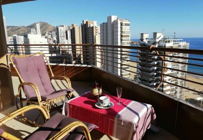 Apartment in Benidorm - R479 TORRE VALENCIA BLUELINE Apartment in Benidorm - R479 TORRE VALENCIA BLUELINE