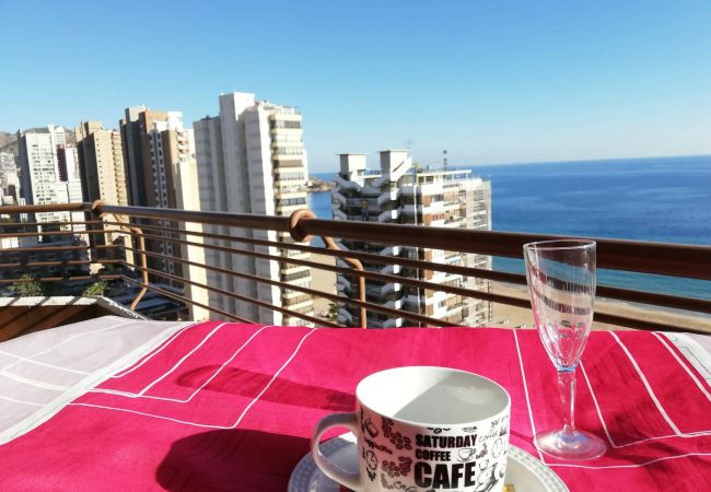 Apartment in Benidorm - R479 TORRE VALENCIA BLUELINE Apartment in Benidorm - R479 TORRE VALENCIA BLUELINE