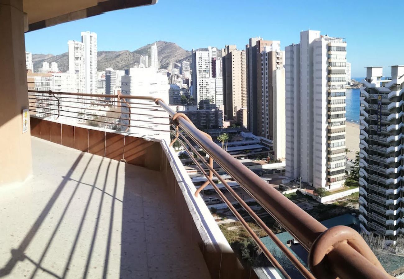 Apartment in Benidorm - R479 TORRE VALENCIA BLUELINE Apartment in Benidorm - R479 TORRE VALENCIA BLUELINE