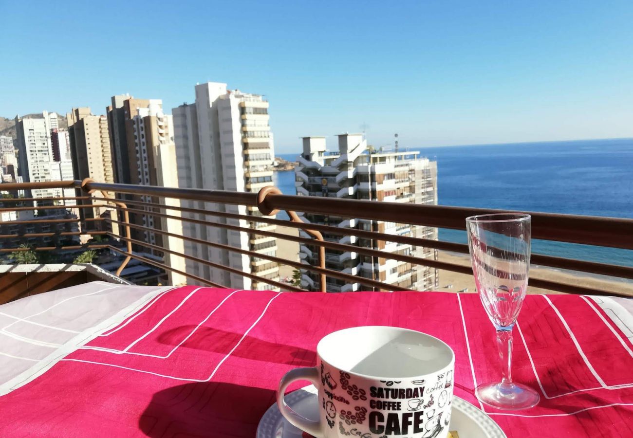 Apartment in Benidorm - R479 TORRE VALENCIA BLUELINE Apartment in Benidorm - R479 TORRE VALENCIA BLUELINE